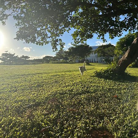 Kenting Comic B&B&Spring Старе місто Хенчун Екстер'єр фото