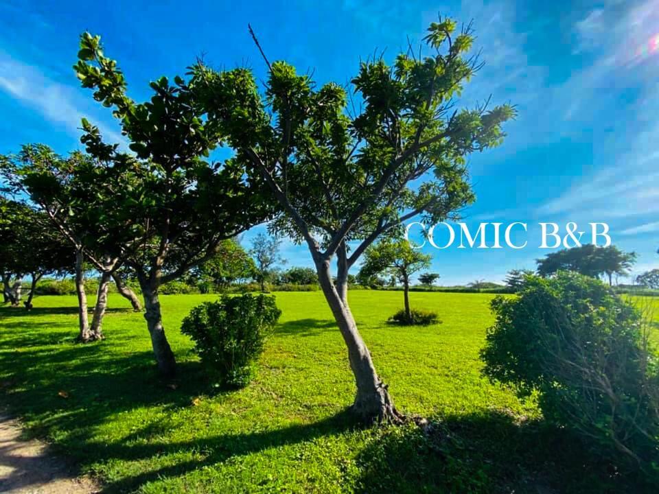 Kenting Comic B&B&Spring Старе місто Хенчун Екстер'єр фото